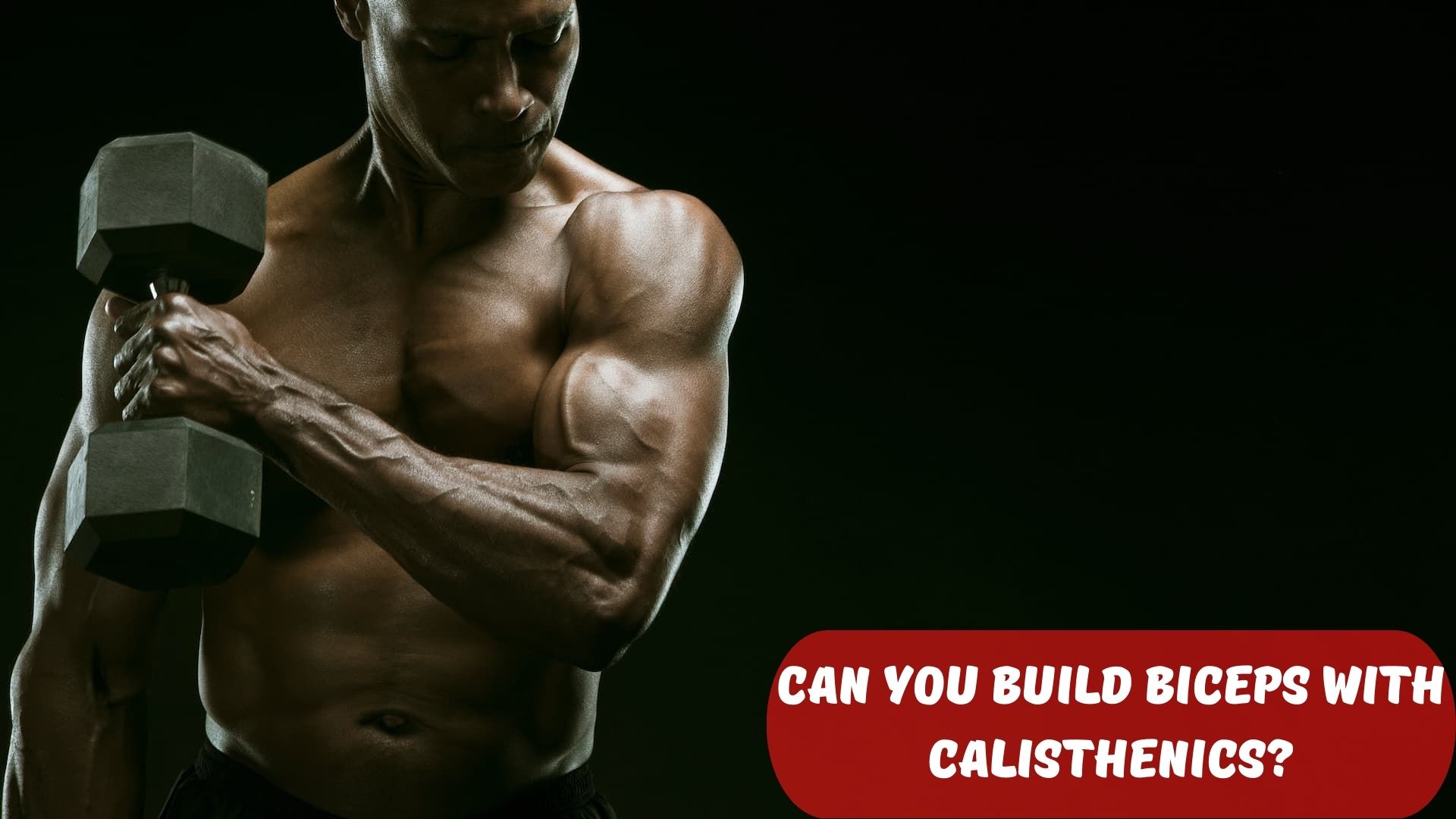 build biceps with calisthenics